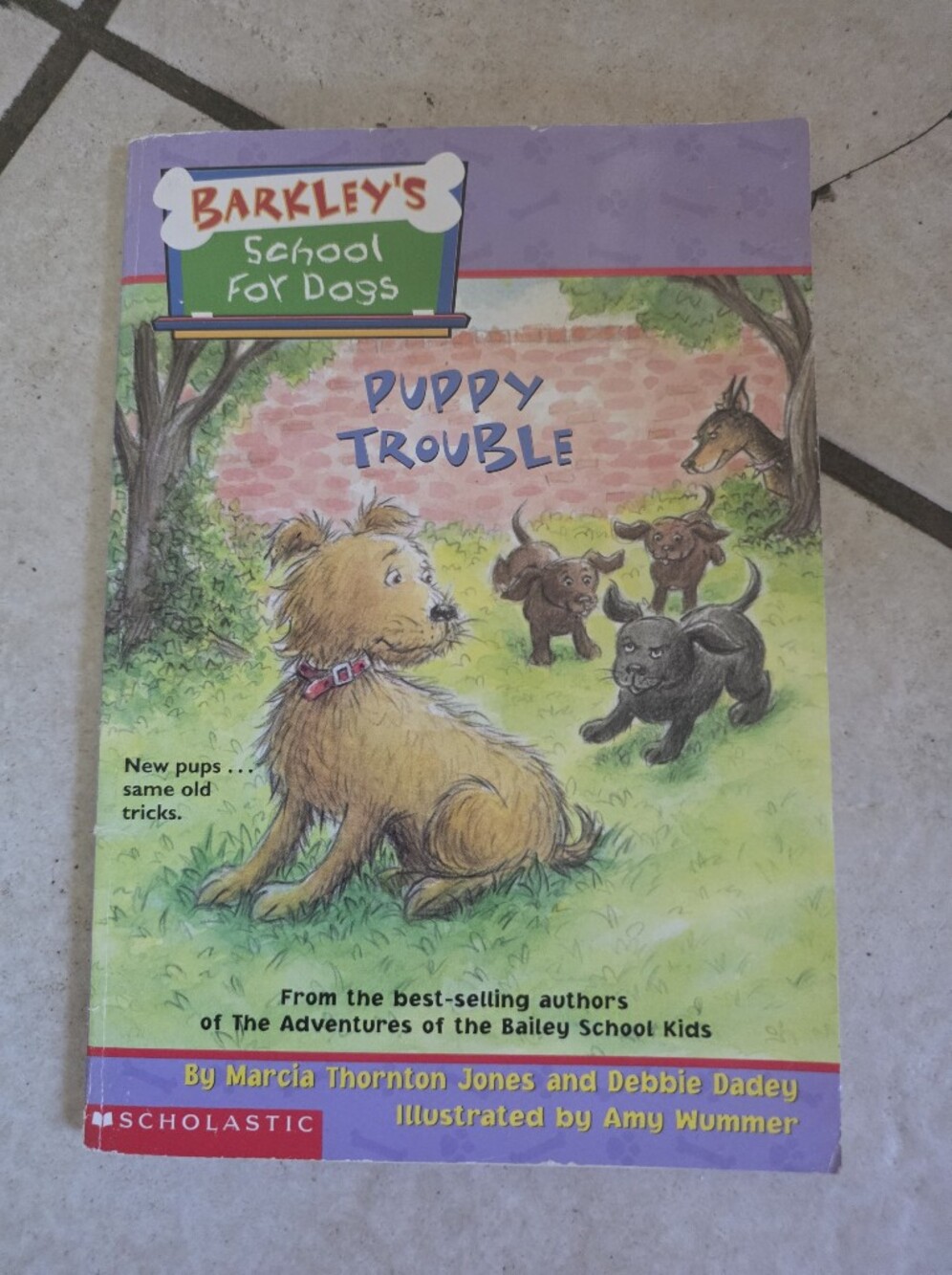 Puppy Trouble (Barkleys School for Dogs 2) - Paperback - Good